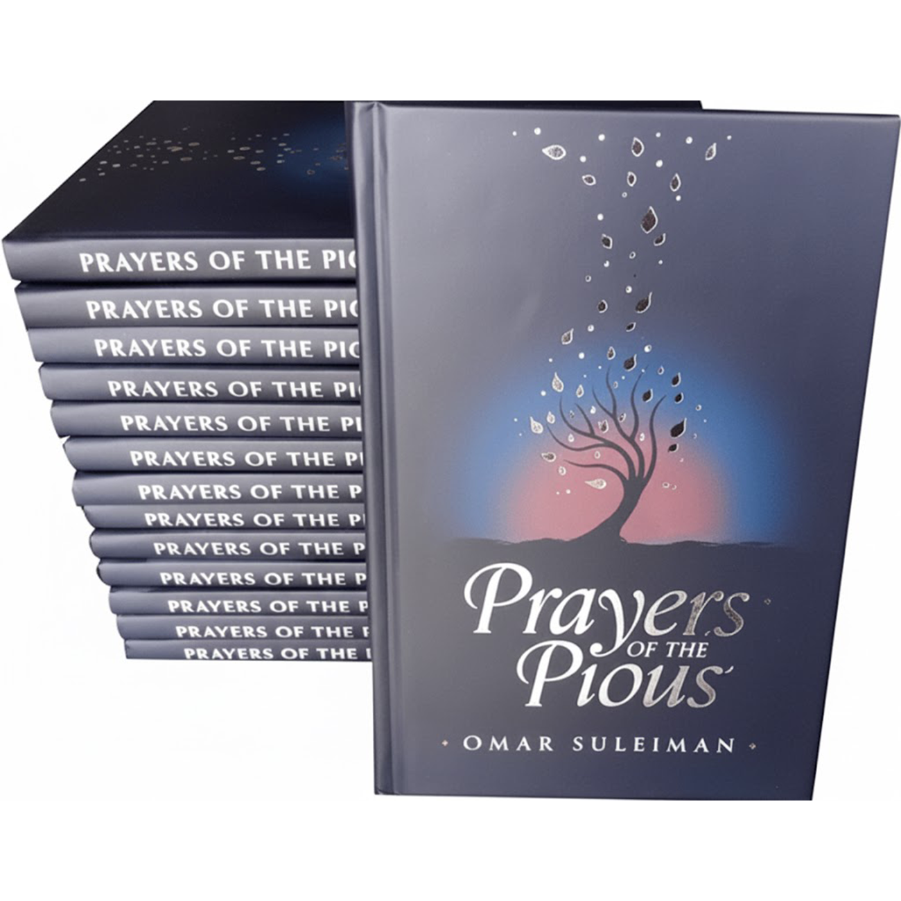 Prayers of the Pious – Omar Suleiman